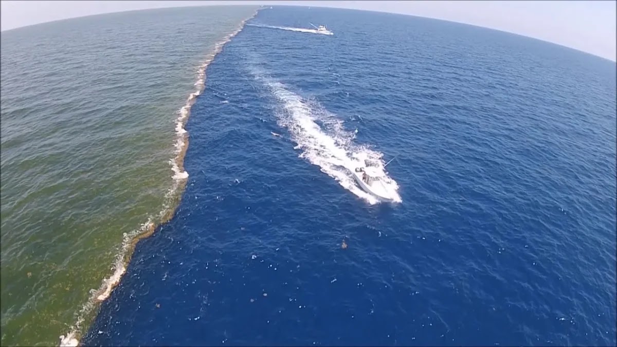 Pacific vs Atlantic: Do the Oceans Really Mix?