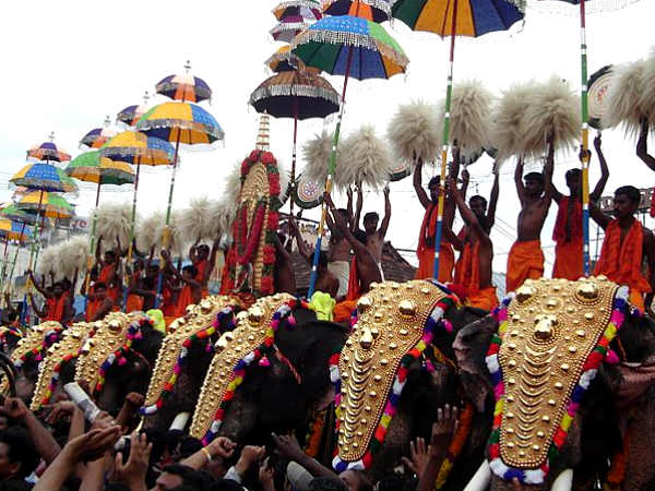 Kerala’s hidden gems: From ancient caves to epic elephant festivals—don’t miss out!