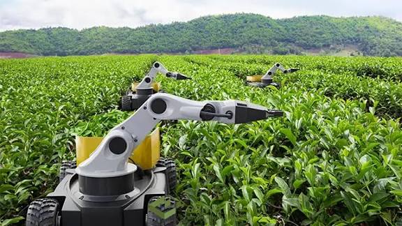 AI Is Rewriting The Future Of Farming!