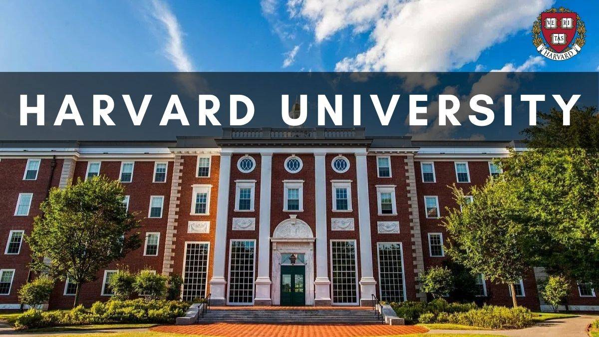 Simple Prep for Harvard Online Classes