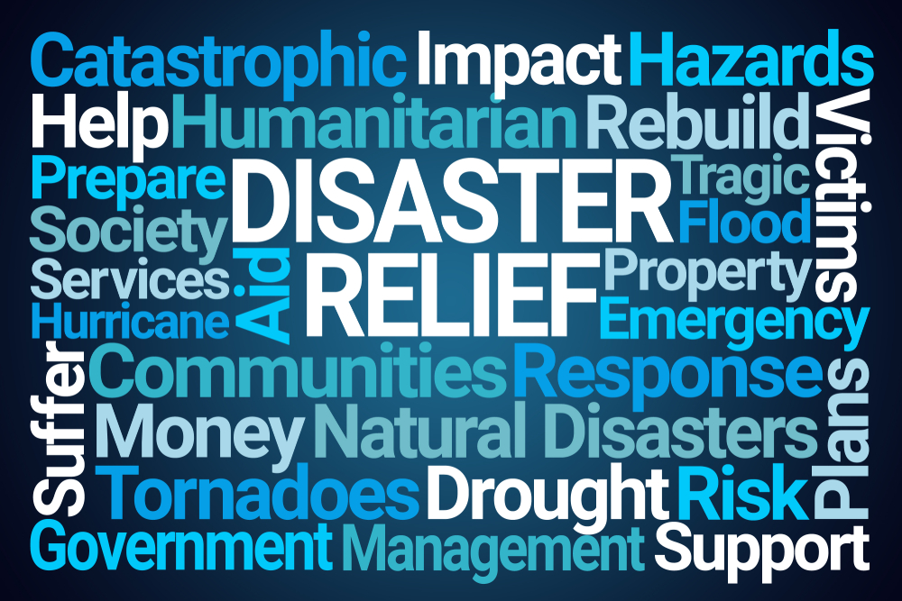How Governments estimates the economic losses due to disasters ?
