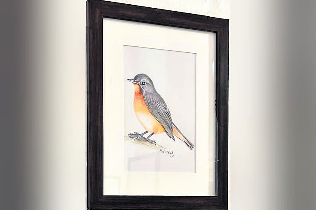 India’s rarest birds  painted to perfection—this Chennai show is unmissable!