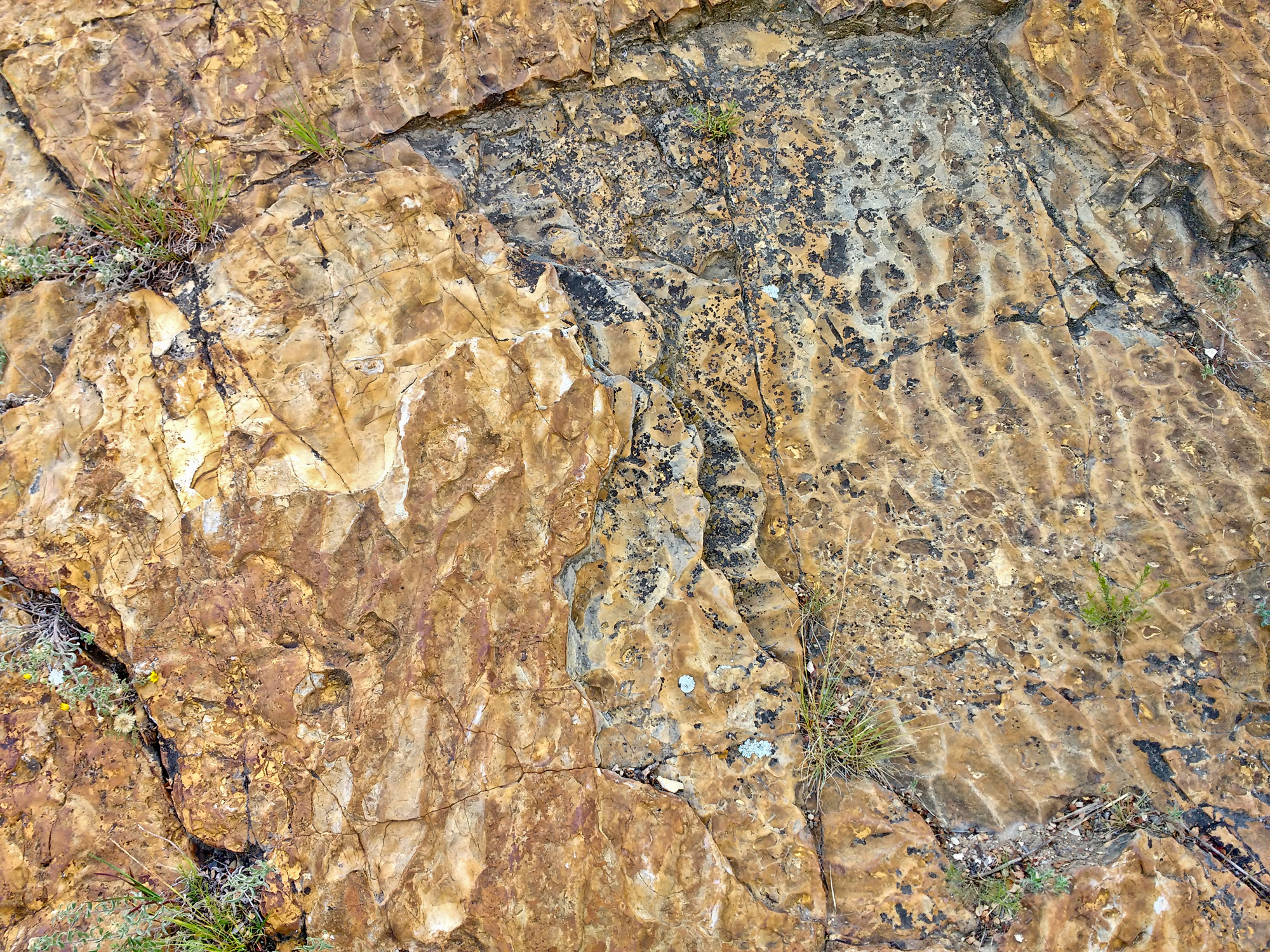 Earth’s ancient ocean floor secrets unlocked by mysterious sedimentary rocks!