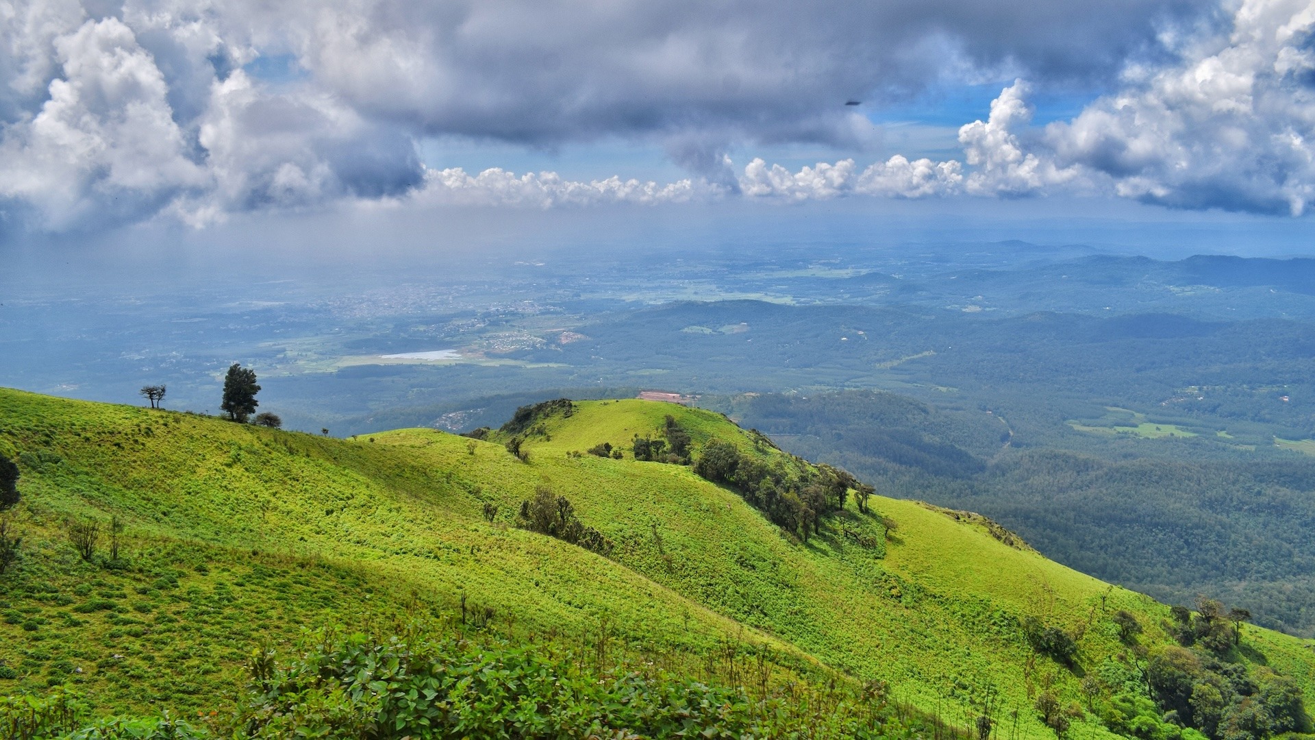 Experience Coorg's Hidden Treasures: Off-Roading, Wildlife, and More