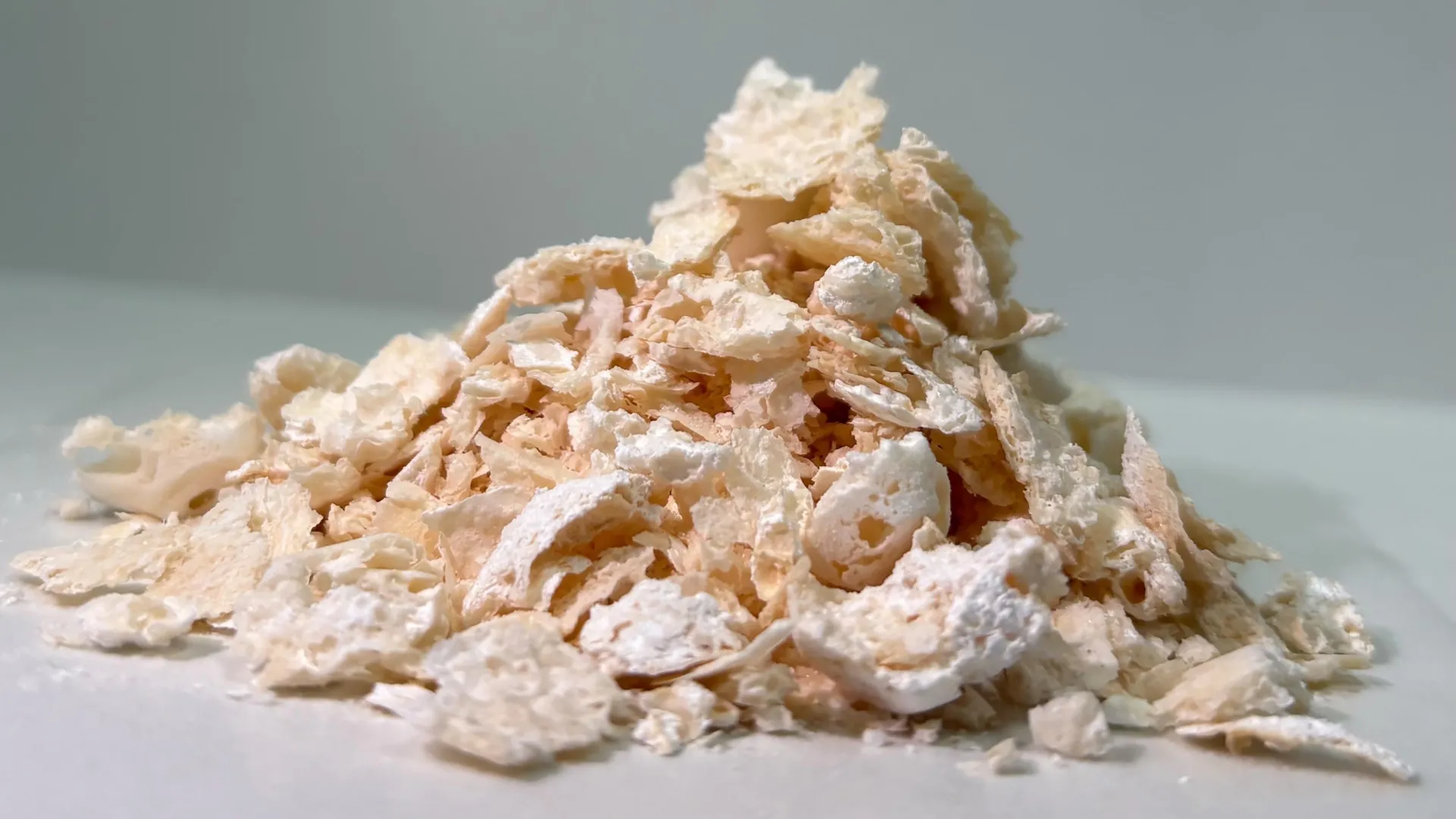 Bacteria make plastic stronger than PET… and it’s fully biodegradable!