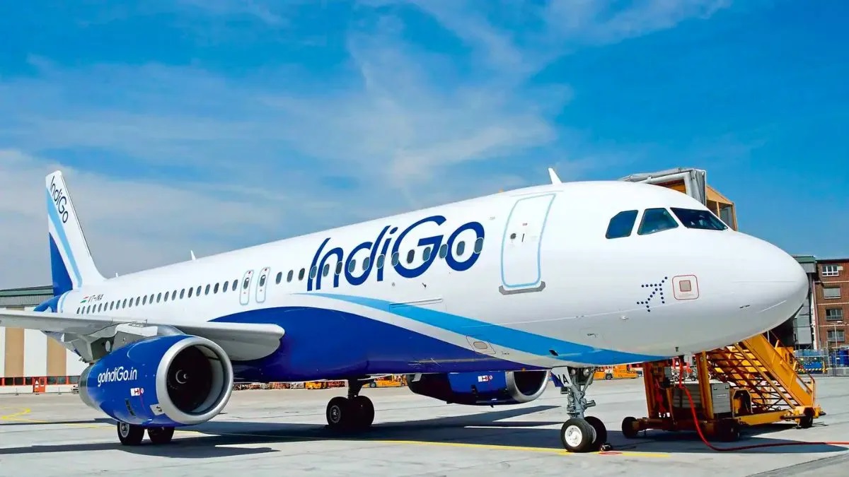 IndiGo flight makes emergency landing after hit by  vulture 