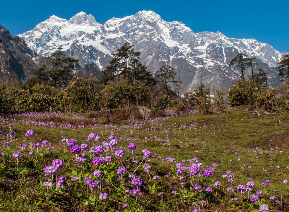 Hidden trails and Himalayan tales, Sikkim’s offbeat escapes