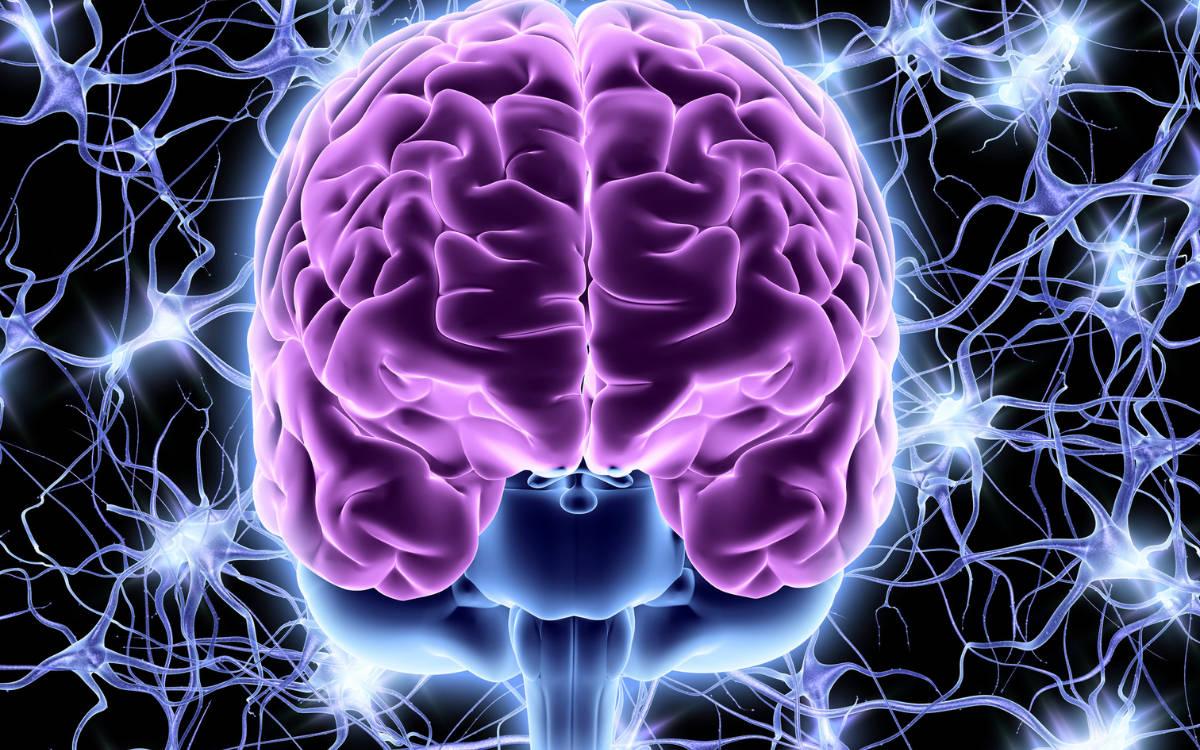 Mice brains reveal how decisions span the human brain!