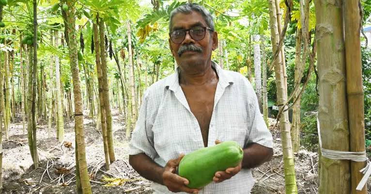 Bengal Farmer Krishna Chandra Halder Develops Disease-Resistant Papaya Variety!
