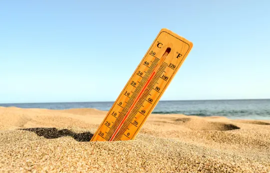 What if cities could predict heatwaves before they hit?