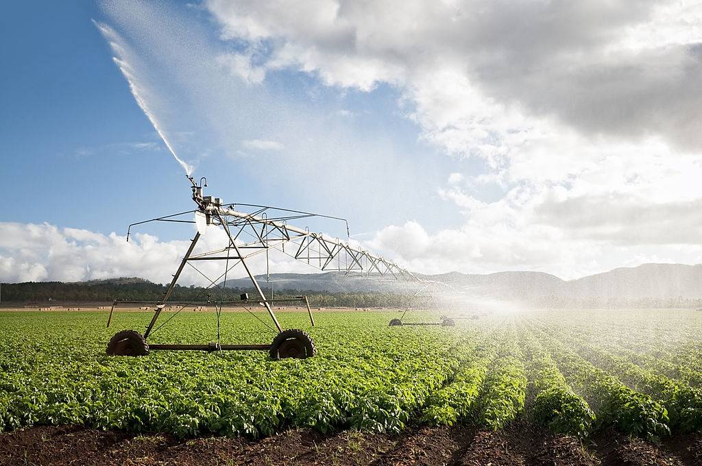 5 Water-Wise Farming Methods Revolutionizing Indian Agriculture!