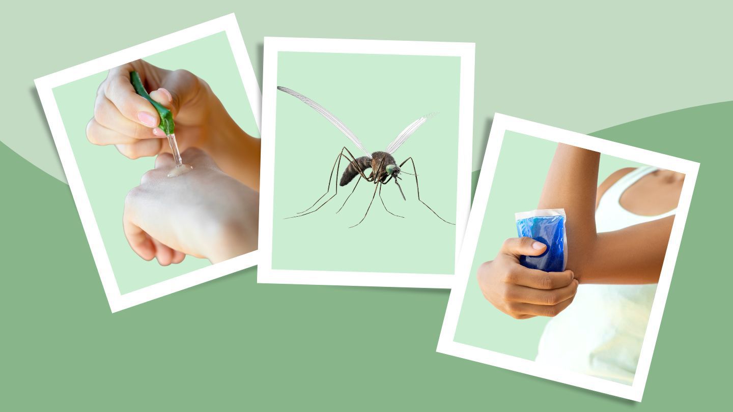 Is Your Mosquito Repellent Ruining Your Skin? Find Out How!