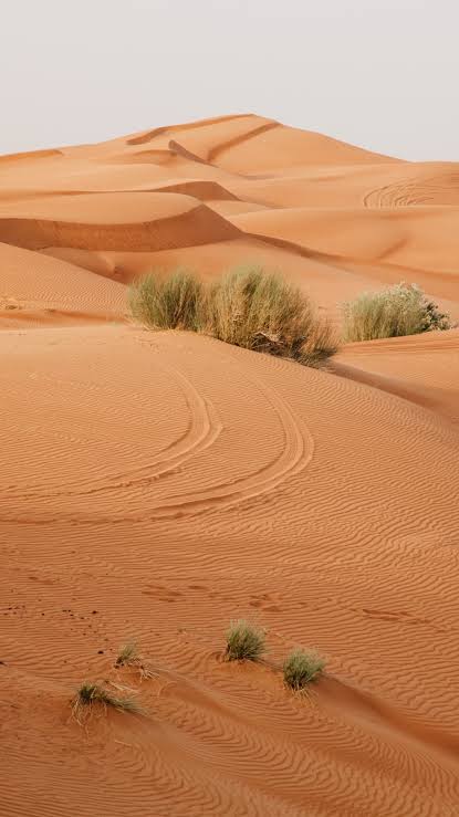 Driest Countries in the World 2025: A Harsh Climate Reality!