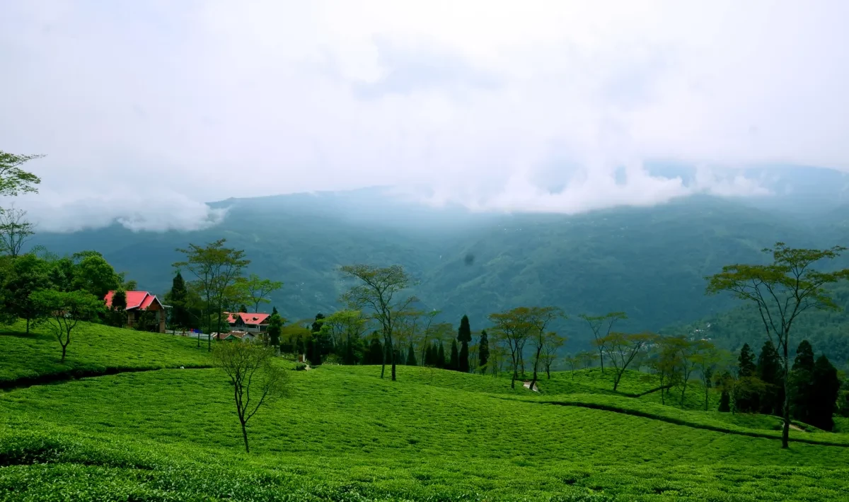 Darjeeling's overrated. North Bengal’s real magic is hidden here!