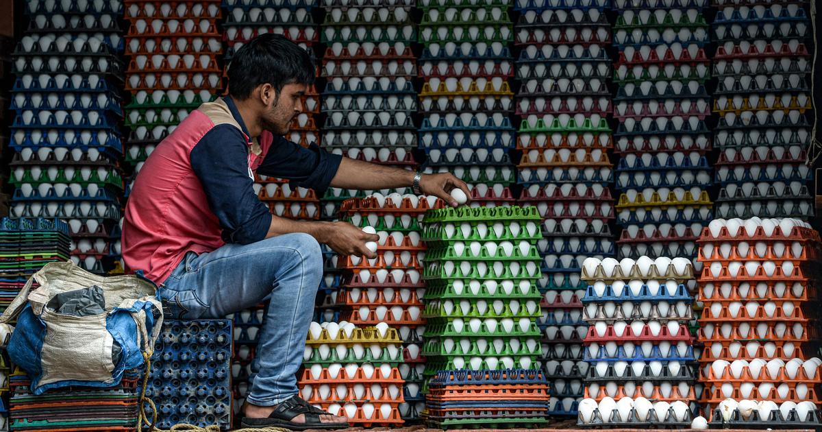 India’s Egg Woes Mirror Its Broader Food Crisis!