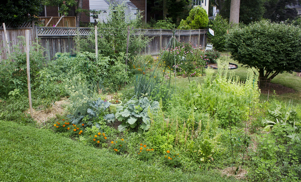Tired of Weeding? Let Nature Take Over
