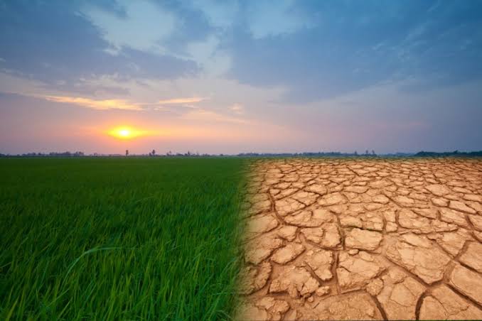 Why Heat Makes Countries Poor?