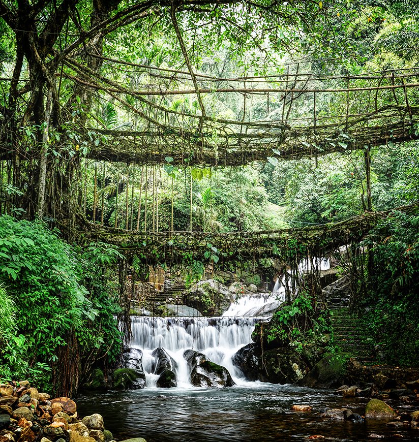 Monsoon magic unlocked, discover India’s wildest green getaways!