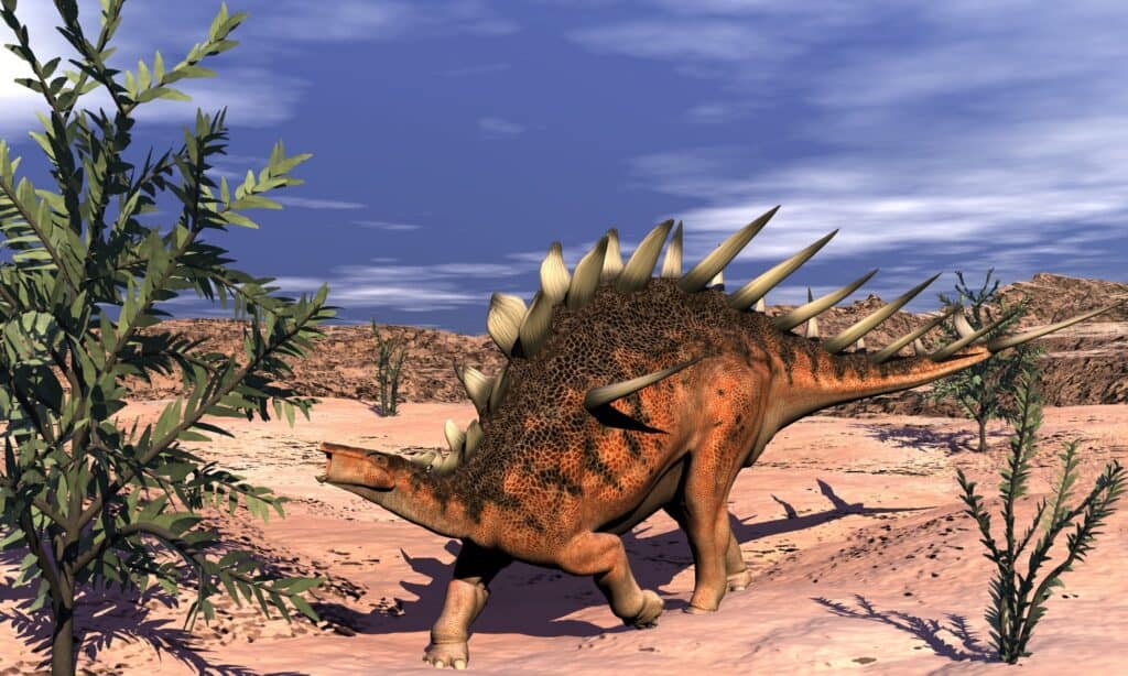 This dinosaur walked on earth with a spiky body armour!