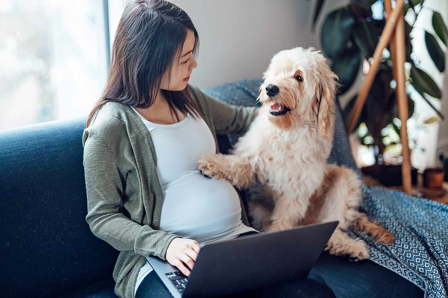 Want Better Health? Here's Why You Need a Dog!