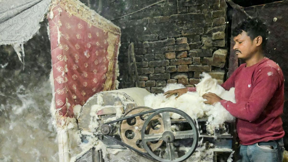 Why did India suspend cotton import duty this season?
